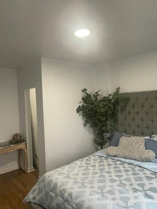 Casa Carmel 2br - Near Downtown & Ferndale Apartment Detroit